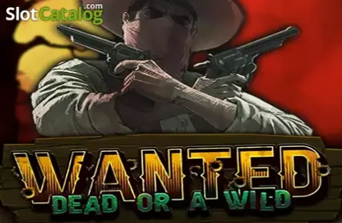 Western cowboy met revolvers